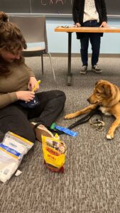 Student Caroline Schaeffer '23 sitting on floor with service-dog-in-training Wiss Fiss during a training session in a 纸飞机外国软件叫什么
 classroom